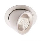 LED wall washer light for architectural wall illumination