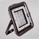 LED flood light with lens for focused outdoor lighting